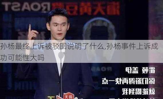 孙杨最终上诉被驳回说明了什么,孙杨事件上诉成功可能性大吗