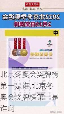 北京冬奥会奖牌榜第一是谁,北京冬奥会奖牌榜第一是谁啊