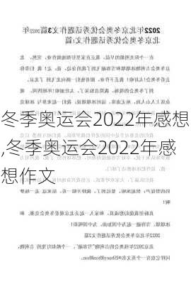 冬季奥运会2022年感想,冬季奥运会2022年感想作文