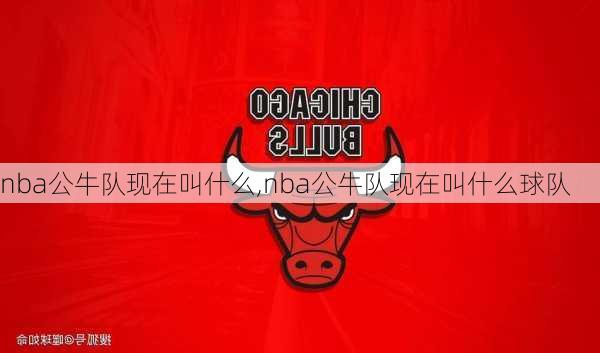 nba公牛队现在叫什么,nba公牛队现在叫什么球队