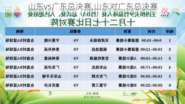 山东vs广东总决赛,山东对广东总决赛