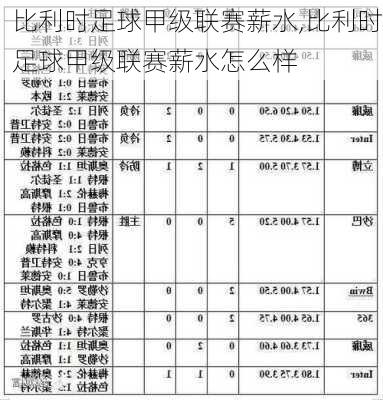 比利时足球甲级联赛薪水,比利时足球甲级联赛薪水怎么样