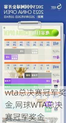 wta总决赛冠军奖金,网球WTA总决赛冠军奖金