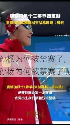 孙杨为何被禁赛了,孙杨为何被禁赛了呢