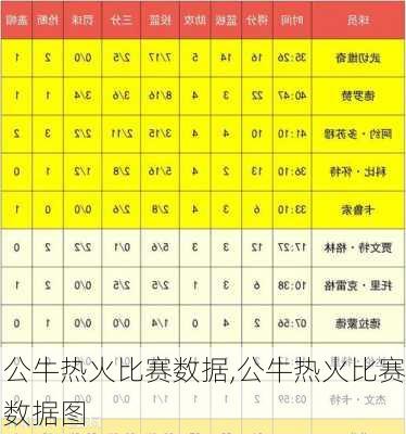 公牛热火比赛数据,公牛热火比赛数据图