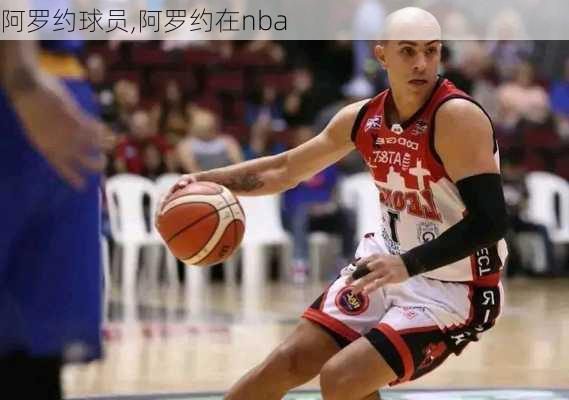 阿罗约球员,阿罗约在nba