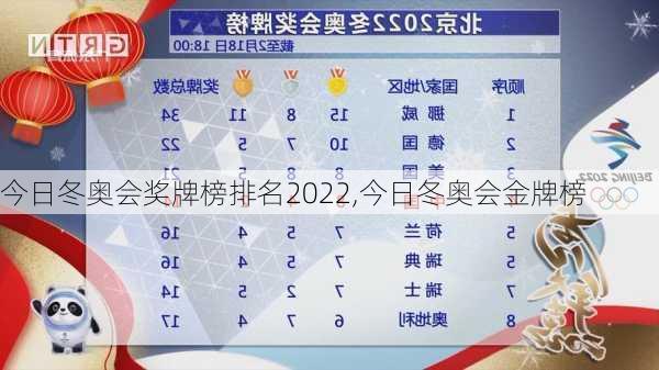 今日冬奥会奖牌榜排名2022,今日冬奥会金牌榜