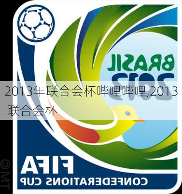 2013年联合会杯哔哩哔哩,2013 联合会杯