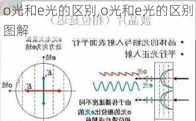 o光和e光的区别,o光和e光的区别图解