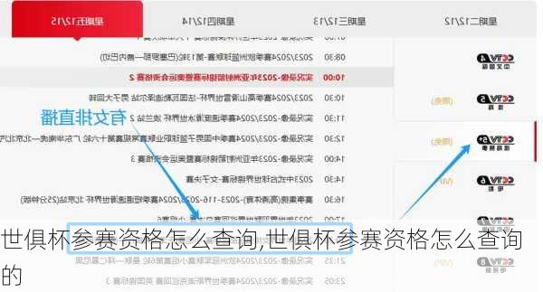 世俱杯参赛资格怎么查询,世俱杯参赛资格怎么查询的