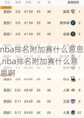 nba排名附加赛什么意思,nba排名附加赛什么意思啊