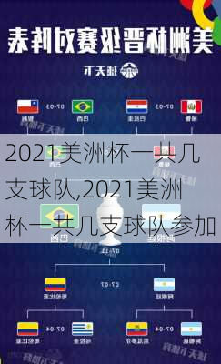 2021美洲杯一共几支球队,2021美洲杯一共几支球队参加