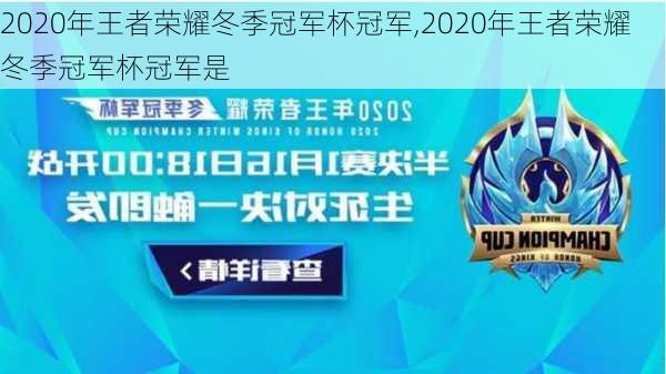 2020年王者荣耀冬季冠军杯冠军,2020年王者荣耀冬季冠军杯冠军是