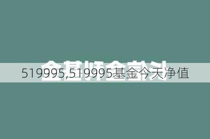 519995,519995基金今天净值