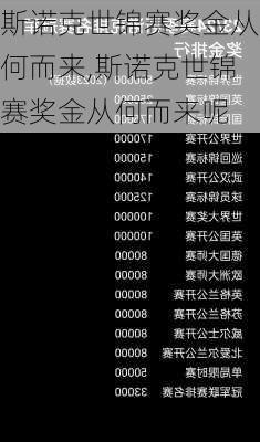 斯诺克世锦赛奖金从何而来,斯诺克世锦赛奖金从何而来呢