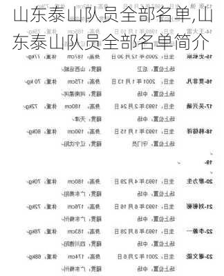 山东泰山队员全部名单,山东泰山队员全部名单简介