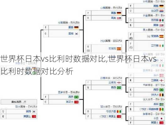 世界杯日本vs比利时数据对比,世界杯日本vs比利时数据对比分析