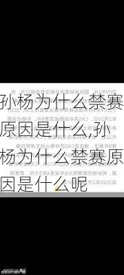 孙杨为什么禁赛原因是什么,孙杨为什么禁赛原因是什么呢