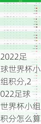 2022足球世界杯小组积分,2022足球世界杯小组积分怎么算