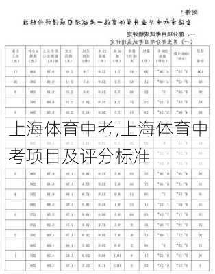 上海体育中考,上海体育中考项目及评分标准