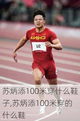 苏炳添100米穿什么鞋子,苏炳添100米穿的什么鞋