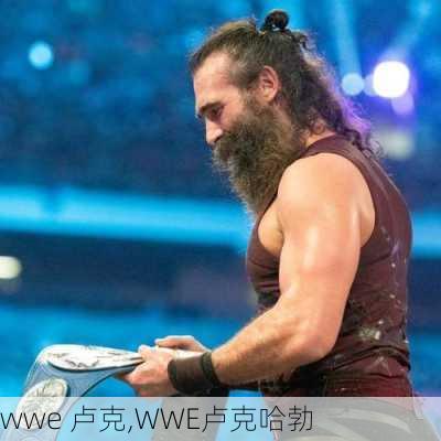 wwe 卢克,WWE卢克哈勃